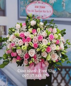Lẵng hoa chúc mừng sinh nhật công ty hoa khai trương đẹpLH42  Shop hoa  tươi Cầu Giấy Lan hồ điệp Điện hoa Hà Nội Vincy Garden