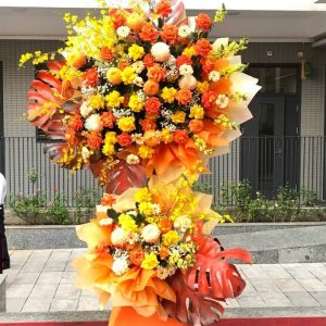 Bền vững sắc vàng HKT611