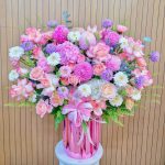 Đẹp sắc hồng HB25