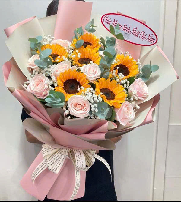 Hướng dương kem hồng HB807