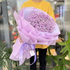 Baby hồng mềm mại HB817