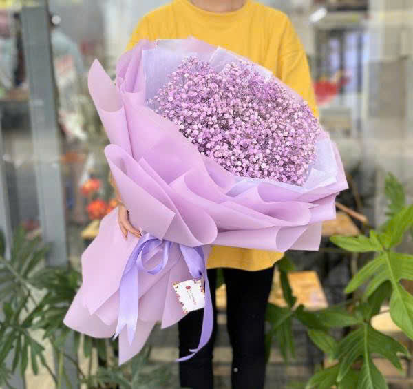 Baby hồng mềm mại HB817