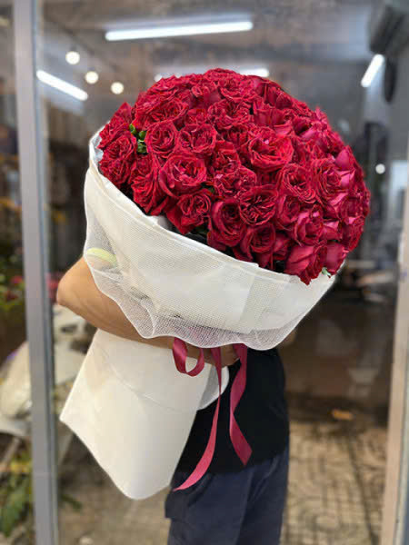 Big red mãi yêu HB828
