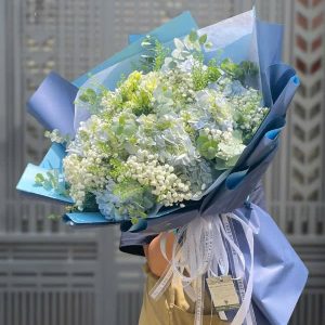 Cẩm tú baby HB605