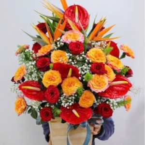 Giỏ hoa tươi thiên điểu hồng môn đỏ HG838
