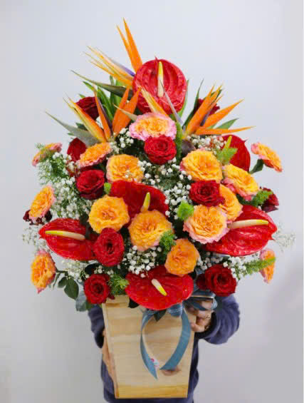 Giỏ hoa tươi thiên điểu hồng môn đỏ HG838