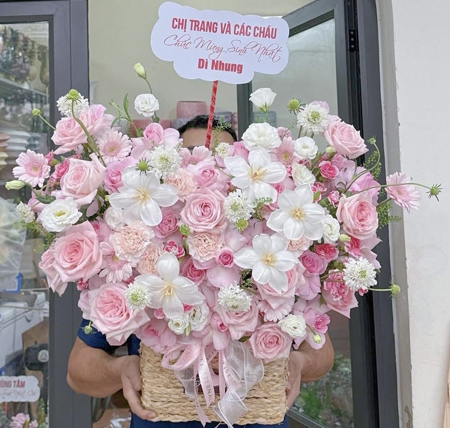 Giỏ hoa tulip, hồng ohara HG862